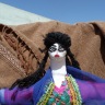 Afghan rag doll